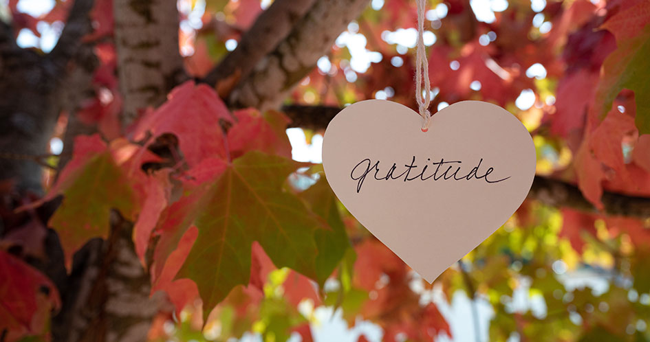 gratitude in a tree